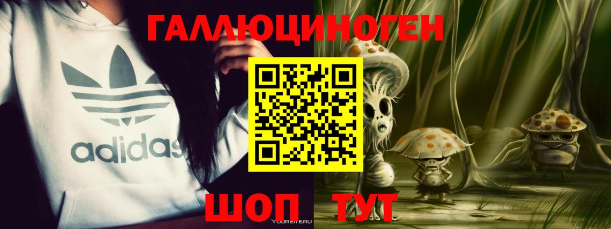 Псилоцибиновые грибы мухоморы Бор