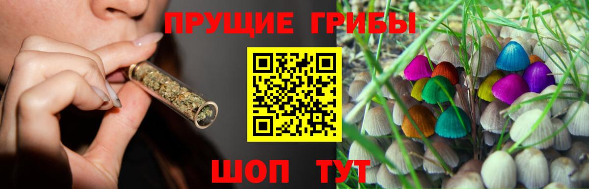 Галлюциногенные грибы MAGIC MUSHROOMS  Вход с VPN  Бор 