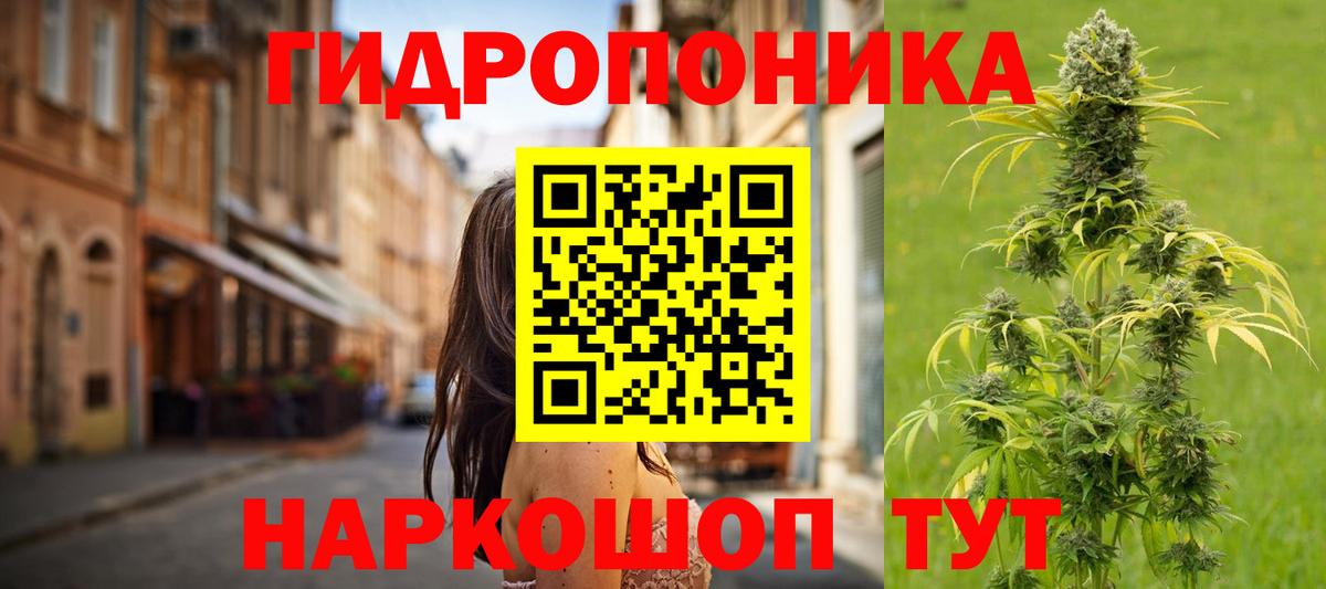 Канабис гибрид Бор